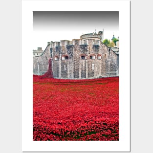 Tower of London Red Poppy Flowers Posters and Art